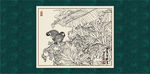 白描兰花