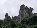 九乡
