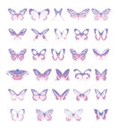 矢量蝴蝶图案