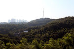 金鹗公园