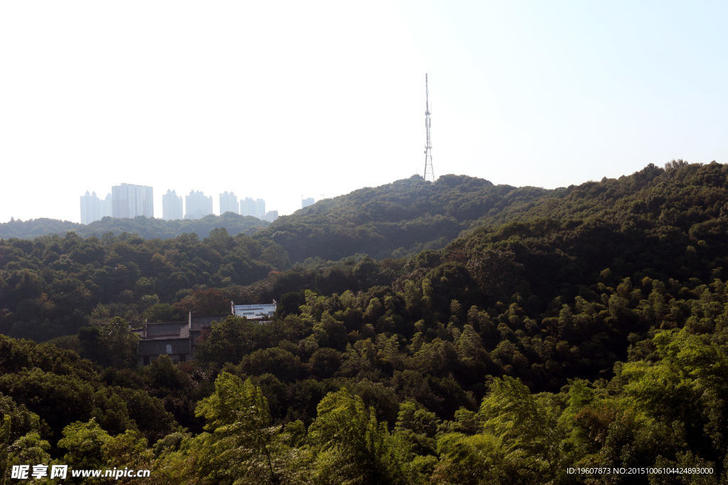 金鹗公园