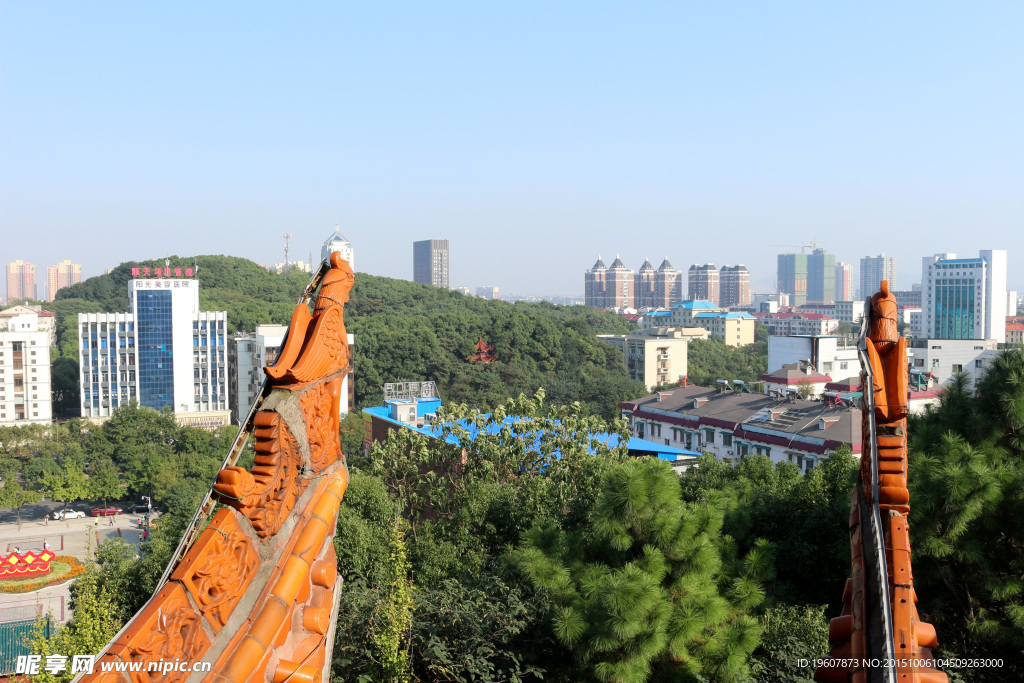 金鹗公园