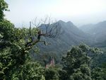 青城山