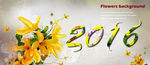 2016字样