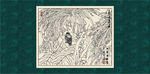 听雨