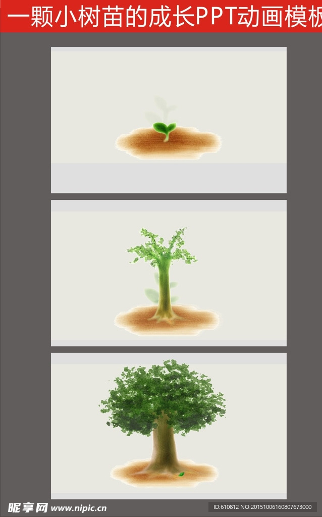 PPT特效   PPT动画
