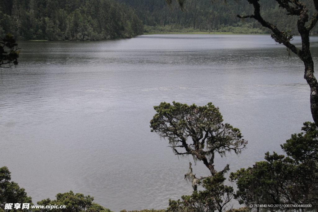 泸沽湖风光