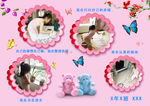 照片排版展板