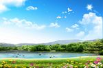 蓝天草地