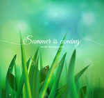绿色夏季草丛矢量素材