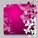 蝶恋花