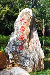 天孕原石