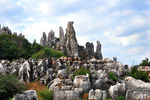 石林风景