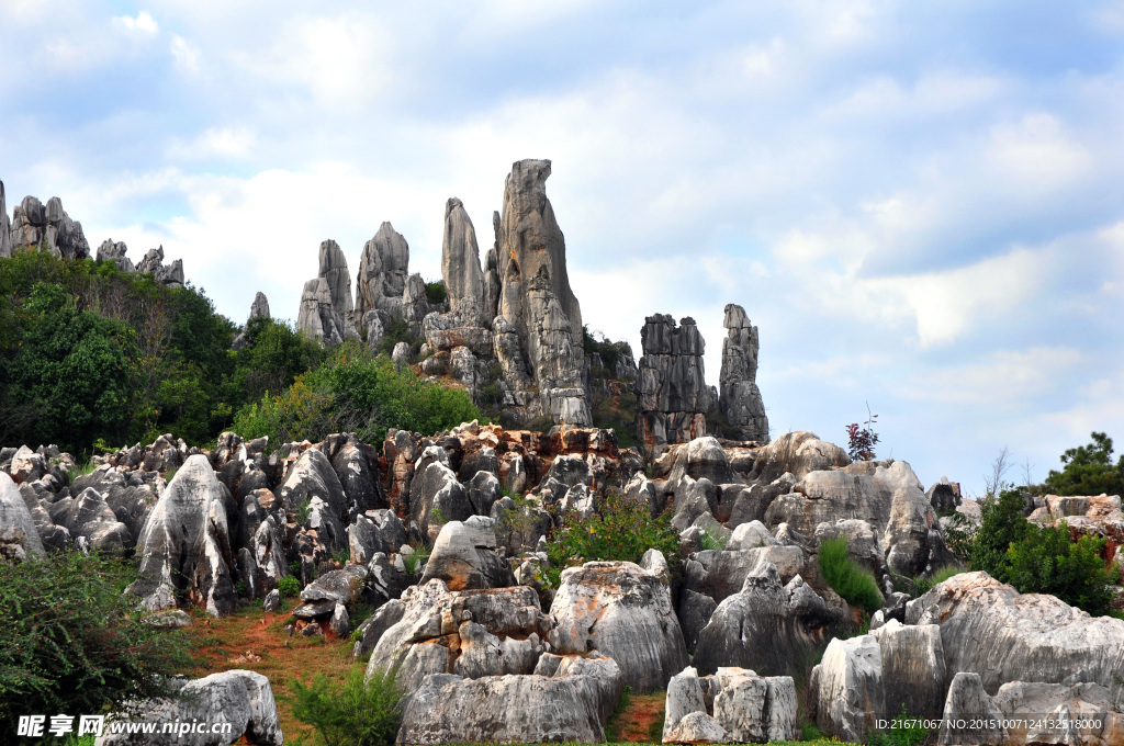 石林风景