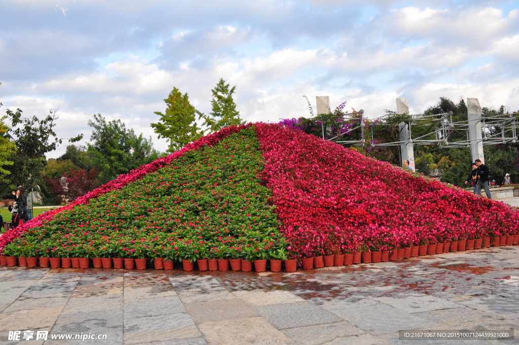 花堆