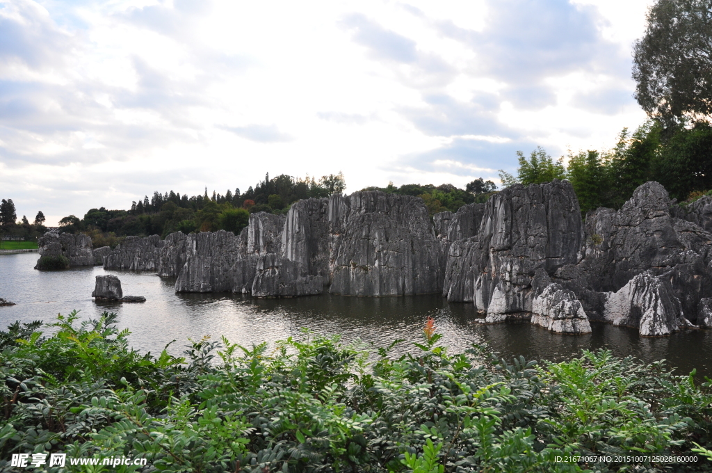 石林风景