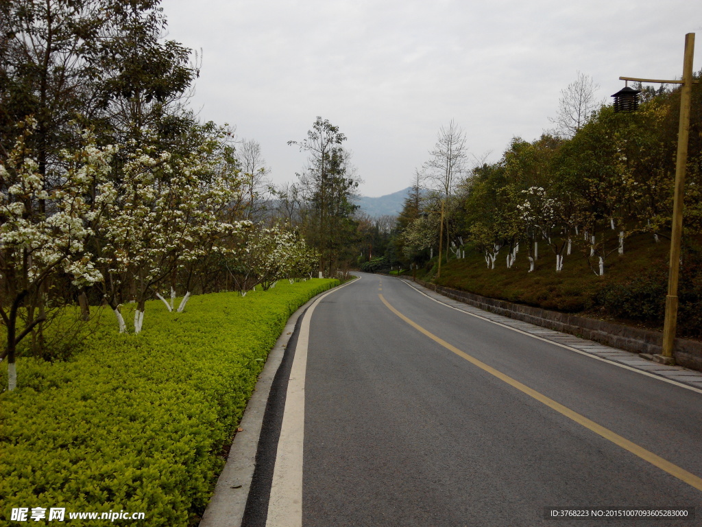 郊外公路