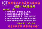 瑞倪维儿vip招募方案