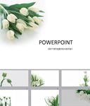 清新PPT  鲜花PPT
