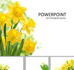 清新PPT  鲜花PPT