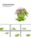 简约PPT   简洁PPT