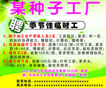 工厂招聘广告
