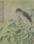 郑路迅猛禽工笔画老鹰边城秋气