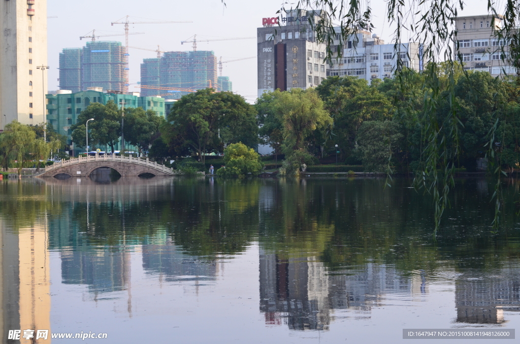 月湖景色