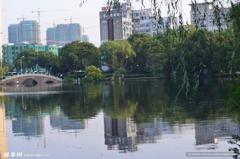 月湖景色