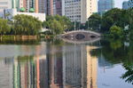 月湖景色