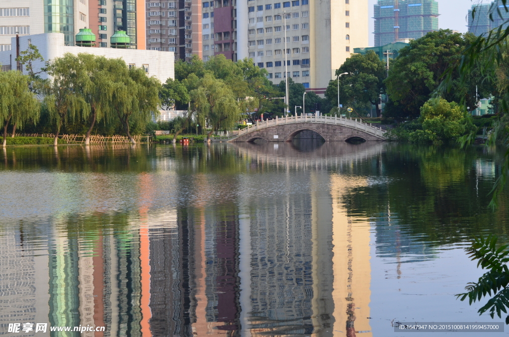 月湖景色