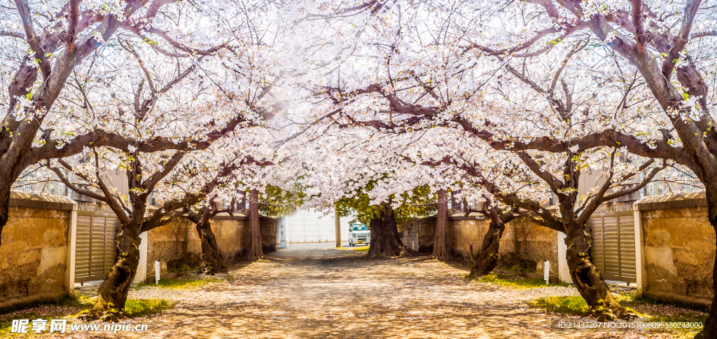 繁花胜景