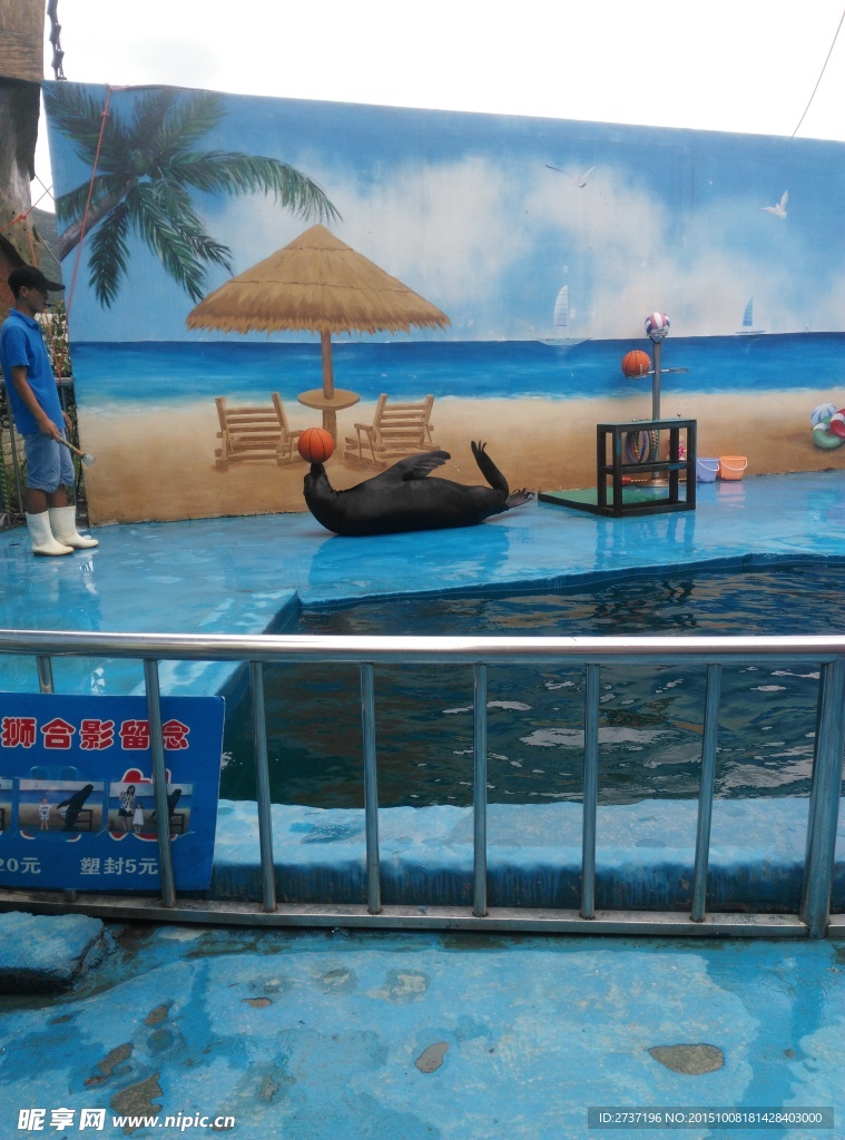 无锡海洋馆