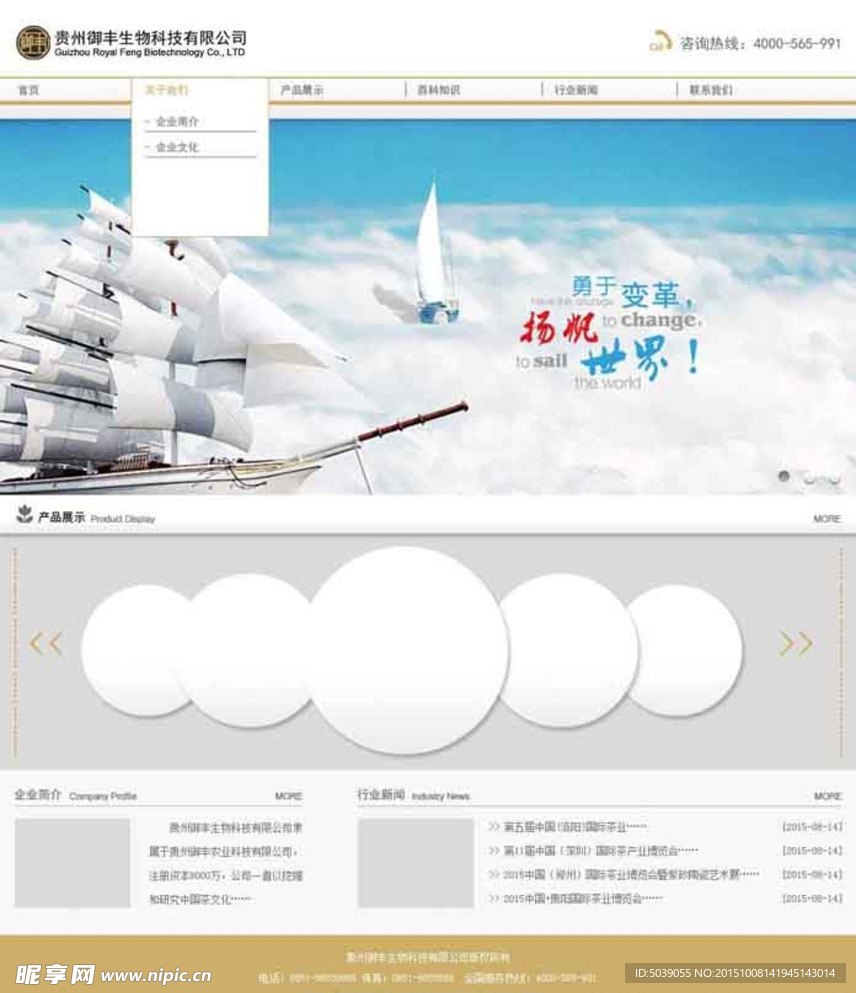 企业网站
