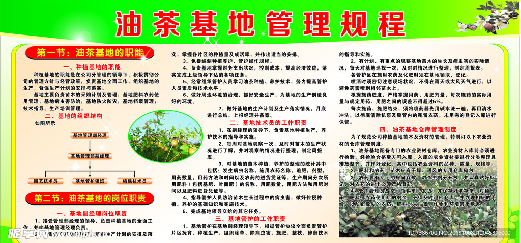 油茶基地管理规程
