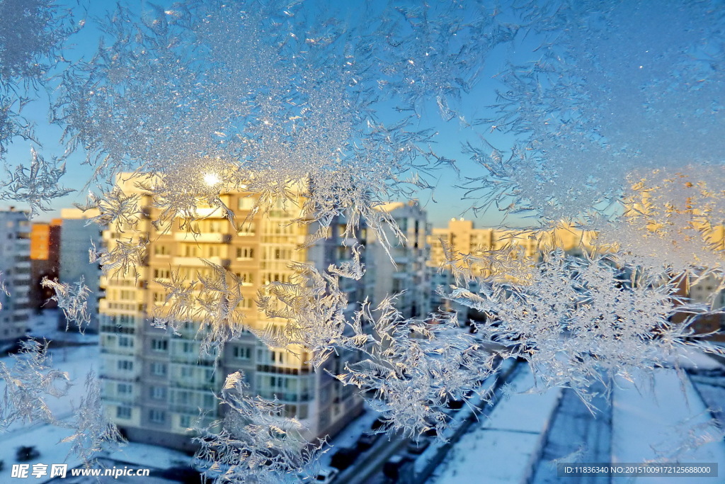 冬天雪景