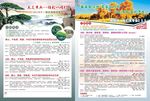 胡杨林之旅