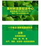 蔬菜名片