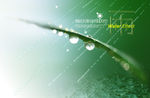 水背景素材
