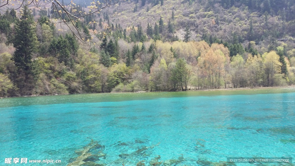 九寨沟五花海湖光三色