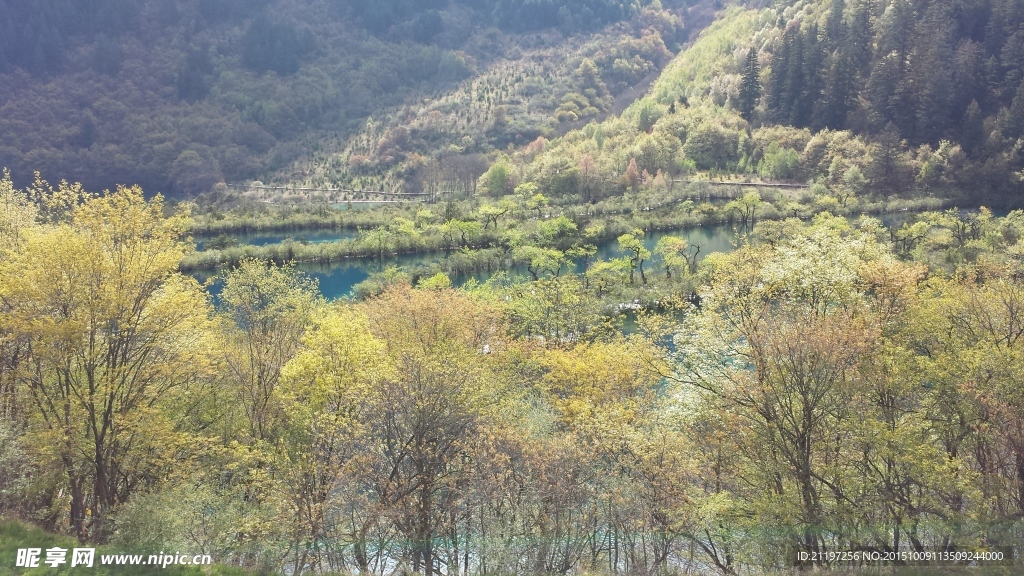 九寨沟树正群海初春美景