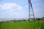田野