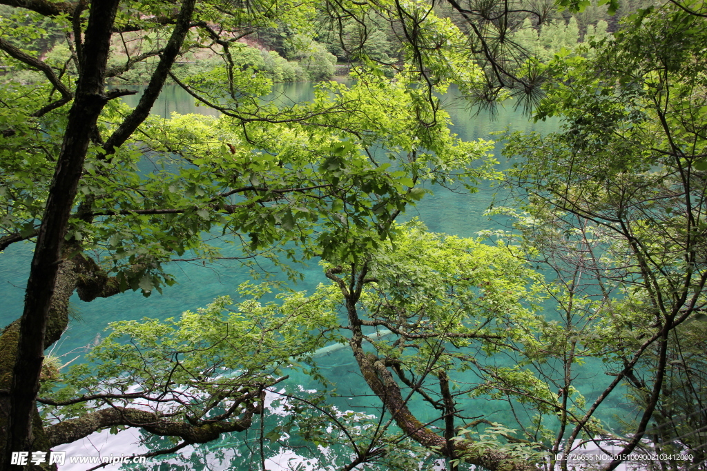 四川九寨沟
