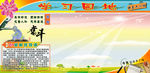 学习园地