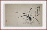 青石国画兰花 国画兰花 写意兰