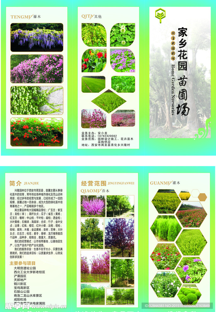家乡花园苗圃三折叶