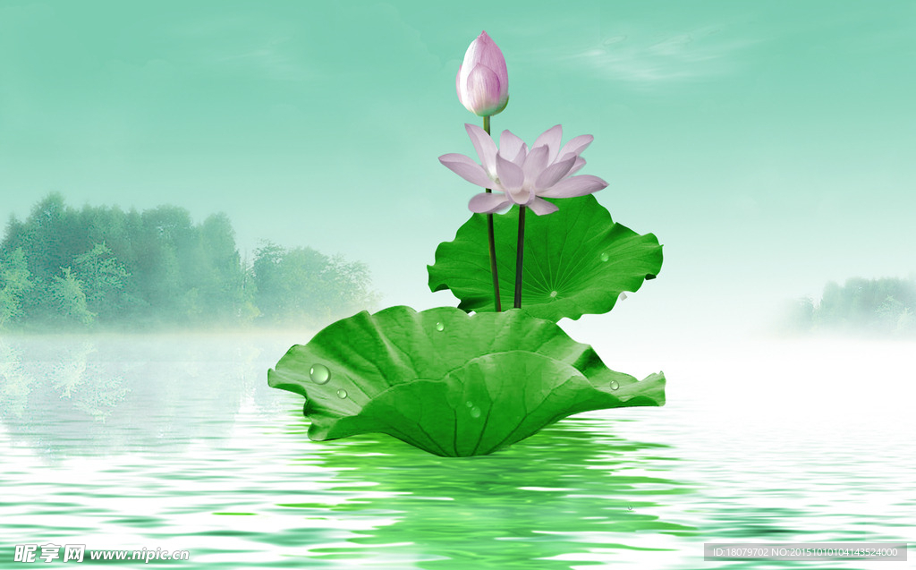 荷姿