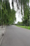 公园一角
