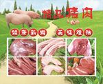 精品猪肉