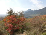少室山秋景